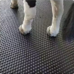 橡胶牛罩垫